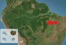 Florestas em terras indígenas de oito países amazônicos reduzem a propagação de 27 doenças (incluindo zoonoses transmitidas por animais) ao longo de 20 anos de dados em 1.733 municípios e protegem a saúde de 33 milhões de pessoas