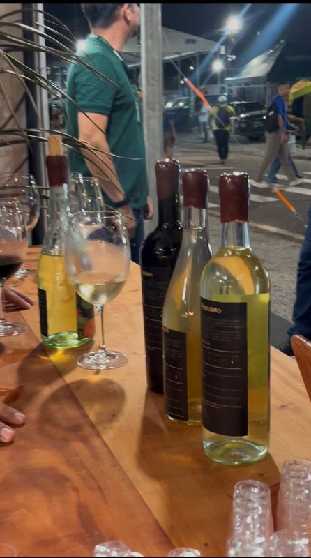 Vinho de caju e açaí transformam frutos na Expofeira 2026 1 Vinho de caju e açaí transformam frutos na Expofeira 2026