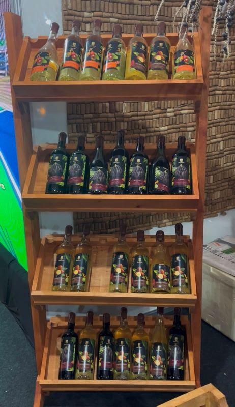 Vinho de caju e açaí transformam frutos na Expofeira 2026 2 Vinho de caju e açaí transformam frutos na Expofeira 2026