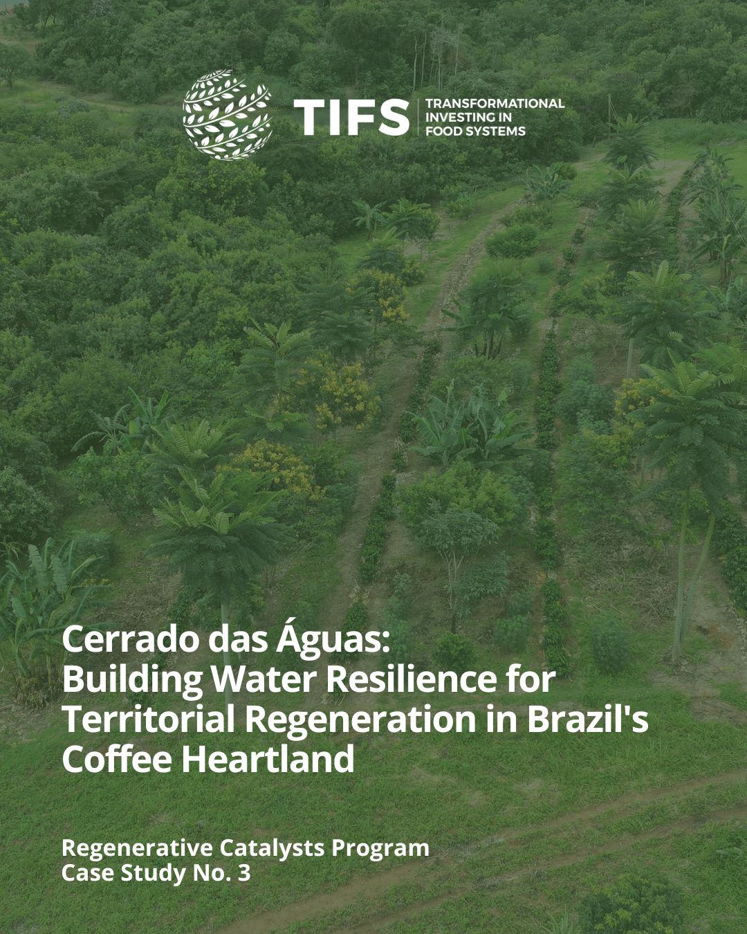 Cerrado das Águas reúne rivais, agricultores e universidades para recuperar rios e tornar o café mais resiliente