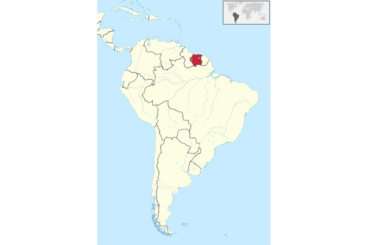 Suriname elimina a malária após quase 70 anos e cria referência para vizinhos da Amazônia 2 Suriname elimina a malária após quase 70 anos e cria referência para vizinhos da Amazônia