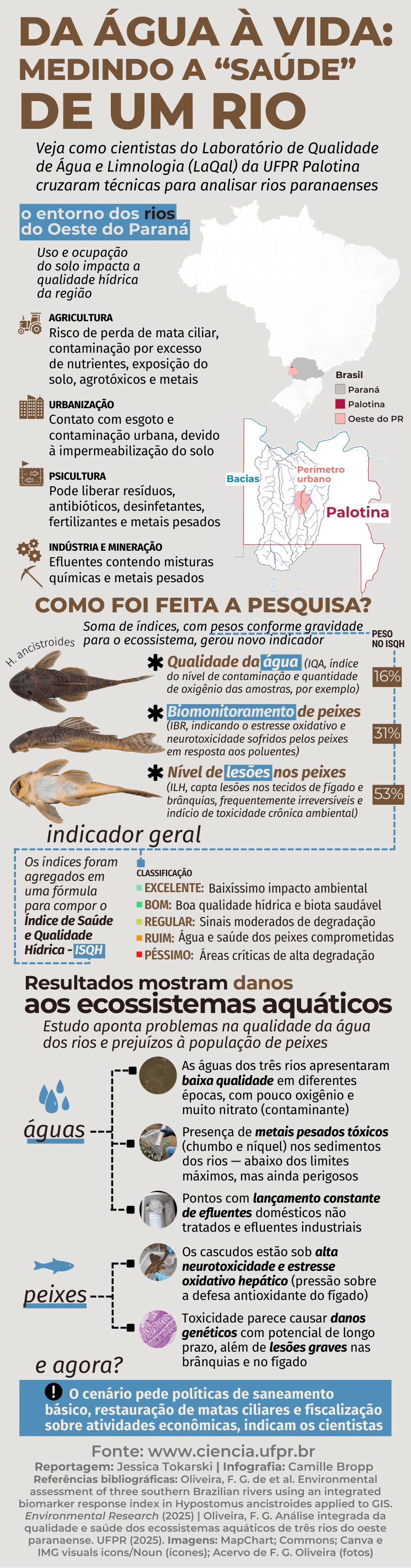 Peixes com lesões e danos genéticos expõem degradação em três rios do Oeste do Paraná e ameaçam usos da água