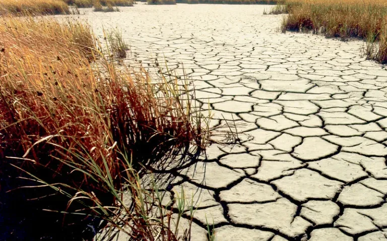COP17 na Mongólia trava acordo global sobre secas, enquanto Brasil tenta levar o impasse para 2028 2 COP17 na Mongólia trava acordo global sobre secas, enquanto Brasil tenta levar o impasse para 2028
