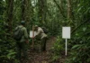 Povo indígena isolado ganha território de 411 mil hectares com limites finalmente marcados no chão após processo iniciado em 2001 e décadas de pressão sobre a área