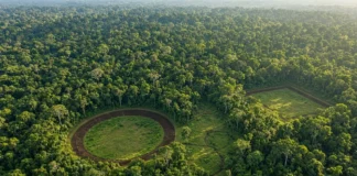 Laser sobrevoa floresta densa no Acre e revela quase 400 geoglifos de civilização Aquiry que pode ter reunido até 3 milhões de pessoas entre 600 a.C. e 850 d.C.