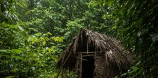 Último sobrevivente de etnia massacrada vive sozinho por mais de duas décadas em buracos na floresta de Rondônia até ser encontrado morto em 2022