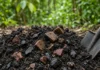 Povos indígenas da Amazônia transformam solo pobre em terra preta fértil que sequestra carbono por séculos e ainda é praticada por comunidades como os Kuikuro