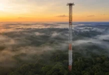 Uma torre de 325 metros analisou 600 amostras de ar na Amazônia e encontrou duas moléculas-espelho que trocam de domínio entre a copa e o céu