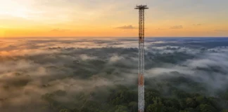 Uma torre de 325 metros analisou 600 amostras de ar na Amazônia e encontrou duas moléculas-espelho que trocam de domínio entre a copa e o céu