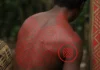Wajãpi do Amapá têm os gráficos kusiwa reconhecidos pela Unesco e pintam no corpo uma escrita que a escola brasileira ainda trata como enfeite