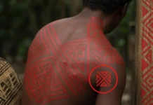 Wajãpi do Amapá têm os gráficos kusiwa reconhecidos pela Unesco e pintam no corpo uma escrita que a escola brasileira ainda trata como enfeite
