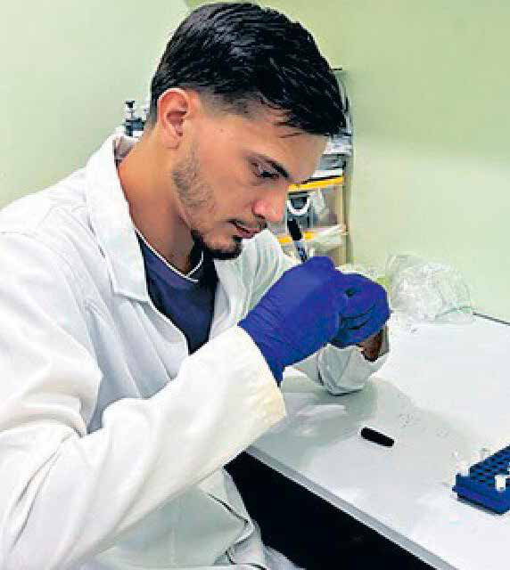 Copaíba revela ação potente contra o carrapato do gado 1 O biotecnologista e mestrando Selino Monteiro Costa Filho no Laboratório de Sanidade Animal (Larsana), da Ufopa, onde os carrapatos foram testados.