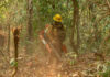 Livro ensina brigadistas a combater incêndios na floresta densa da Amazônia Brigadista usa soprador para abrir linha de defesa contra incêndio em floresta ombrófila densa na Amazônia