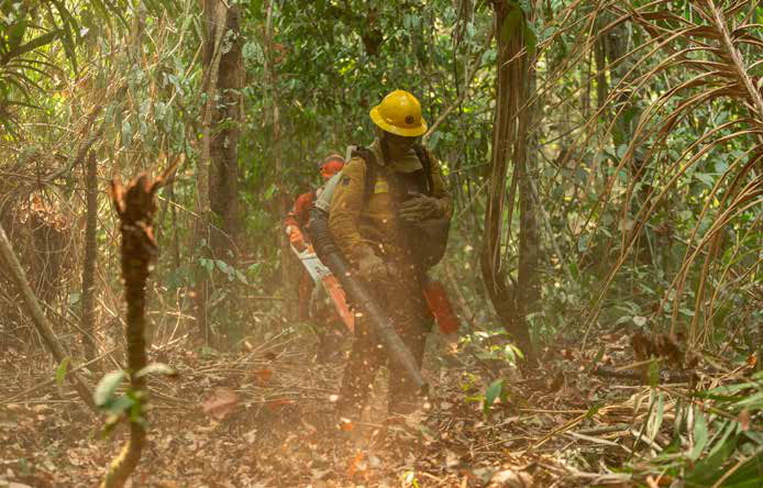 Livro ensina brigadistas a combater incêndios na floresta densa da Amazônia (4) Brigadista usa soprador para abrir linha de defesa contra incêndio em floresta ombrófila densa na Amazônia