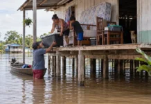 No Careiro da Várzea, famílias levantam camas, geladeiras e até o piso quando o rio entra em casa e a cheia muda de endereço cada cômodo