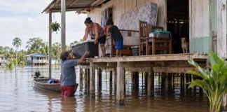 No Careiro da Várzea, famílias levantam camas, geladeiras e até o piso quando o rio entra em casa e a cheia muda de endereço cada cômodo