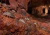 Pequenos crustáceos encontrados sobre rochas de ferro em Carajás revelaram duas espécies novas e ampliaram o mapa de outras duas dentro de cavernas do Pará