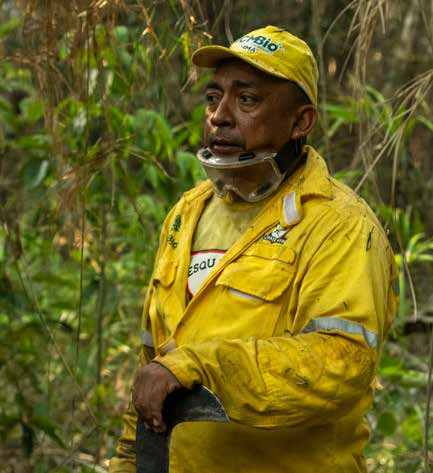 Livro ensina brigadistas a combater incêndios na floresta densa da Amazônia 5 Brigadista do ICMBio durante operação de combate em floresta amazônica: o trabalho é feito em equipe, de forma organizada e com equipamento de proteção completo.