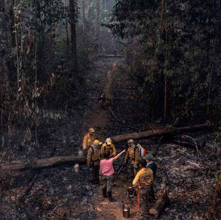 Livro ensina brigadistas a combater incêndios na floresta densa da Amazônia 8 Brigadistas se reúnem em uma trilha já queimada para planejar os próximos passos do combate: a experiência de campo é a matéria-prima do novo livreto.