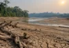 Estação seca avança de quatro para seis meses em partes da Amazônia e déficit de água passa de 150 milímetros no período