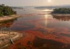 A seca aqueceu lagos de Tefé e Coari, a água ganhou manchas vermelhas e cientistas encontraram pela primeira vez na Amazônia uma alga capaz de produzir toxina