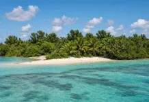 Leonardo DiCaprio pagou R$ 8,9 milhões por ilha de 42 hectares no Caribe, mas não para morar: plano é recuperar manguezais e vida marinha