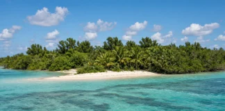 Leonardo DiCaprio pagou R$ 8,9 milhões por ilha de 42 hectares no Caribe, mas não para morar: plano é recuperar manguezais e vida marinha