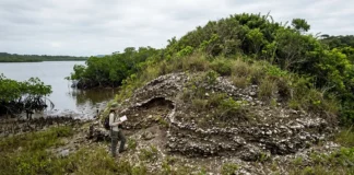 Sambaquis crescem por milhares de anos, passam de 30 metros e guardam montes de conchas onde moradia e funerais continuam em debate Sambaquis crescem por milhares de anos, passam de 30 metros e guardam montes de conchas onde moradia e funerais continuam em debate