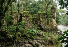 Portugal ergue fortes na floresta amazônica para cumprir duas funções, enfrenta rios e pedra escassa, abandona estruturas e as reencontra séculos depois Portugal ergue fortes na floresta amazônica para cumprir duas funções, enfrenta rios e pedra escassa, abandona estruturas e as reencontra séculos depois