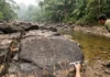 Quando o rio baixa, dois tipos de gravuras surgem nas pedras da Amazônia e desaparecem na cheia, restando uma forma de preservação Quando o rio baixa, dois tipos de gravuras surgem nas pedras da Amazônia e desaparecem na cheia, restando uma forma de preservação