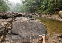 Quando o rio baixa, dois tipos de gravuras surgem nas pedras da Amazônia e desaparecem na cheia, restando uma forma de preservação Quando o rio baixa, dois tipos de gravuras surgem nas pedras da Amazônia e desaparecem na cheia, restando uma forma de preservação