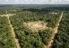 Estradas largas do Alto Xingu ligam aldeias circulares por quatro direções e conduzem a uma praça central Estradas largas do Alto Xingu ligam aldeias circulares por quatro direções e conduzem a uma praça central