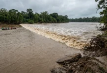 Uma pororoca sobe o rio por dezenas de quilômetros, derruba barrancos e ameaça pequenas embarcações sob a influência da lua Uma pororoca sobe o rio por dezenas de quilômetros, derruba barrancos e ameaça pequenas embarcações sob a influência da lua