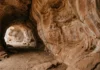 Água escava galerias em uma rocha macia e deixa duas formas de arte nas paredes de cavernas de arenito Água escava galerias em uma rocha macia e deixa duas formas de arte nas paredes de cavernas de arenito