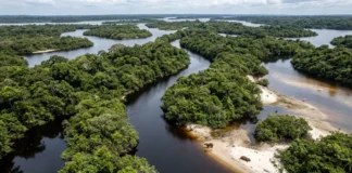 Anavilhanas alterna 2 paisagens ao longo do ano e expõe centenas de ilhas quando o rio Negro recua Anavilhanas alterna 2 paisagens ao longo do ano e expõe centenas de ilhas quando o rio Negro recua