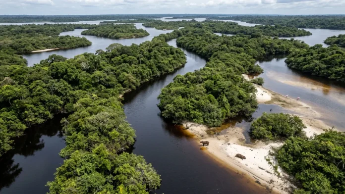 Anavilhanas alterna 2 paisagens ao longo do ano e expõe centenas de ilhas quando o rio Negro recua Anavilhanas alterna 2 paisagens ao longo do ano e expõe centenas de ilhas quando o rio Negro recua