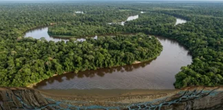 Um lençol de água doce corre quilômetros abaixo do Amazonas no mesmo sentido do rio, mas pode ser muito mais lento Um lençol de água doce corre quilômetros abaixo do Amazonas no mesmo sentido do rio, mas pode ser muito mais lento