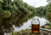 Rio de água preta chega a pH 4, mantém a água clara no copo e reduz larvas de mosquito, com dois efeitos na pesca e navegação Rio de água preta chega a pH 4, mantém a água clara no copo e reduz larvas de mosquito, com dois efeitos na pesca e navegação