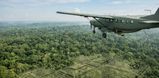 Laser viaja a quase 300 mil km/s, separa 2 retornos sob a copa da floresta e transforma relatos de estruturas em mapas de relevo Laser viaja a quase 300 mil km/s, separa 2 retornos sob a copa da floresta e transforma relatos de estruturas em mapas de relevo