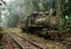 Ferrovia Madeira-Mamoré é construída entre 1907 e 1912 para contornar cachoeiras, enfrenta doenças e vira trecho turístico décadas depois Ferrovia Madeira-Mamoré é construída entre 1907 e 1912 para contornar cachoeiras, enfrenta doenças e vira trecho turístico décadas depois