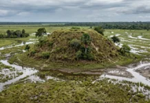 Povos marajoaras moveram terra sem máquinas, ergueram tesos de mais de 10 metros e deram dois usos aos mesmos montículos por séculos Povos marajoaras moveram terra sem máquinas, ergueram tesos de mais de 10 metros e deram 2 usos aos mesmos montículos por séculos