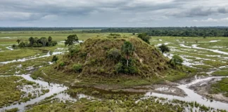 Povos marajoaras moveram terra sem máquinas, ergueram tesos de mais de 10 metros e deram dois usos aos mesmos montículos por séculos Povos marajoaras moveram terra sem máquinas, ergueram tesos de mais de 10 metros e deram 2 usos aos mesmos montículos por séculos