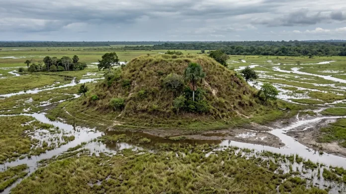 Povos marajoaras moveram terra sem máquinas, ergueram tesos de mais de 10 metros e deram 2 usos aos mesmos montículos por séculos