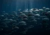 Pesca industrial esvazia peixes entre 200 e 1.000 metros há décadas, reduzindo uma teia escura que sustenta cardumes da superfície Pesca industrial esvazia peixes entre 200 e 1.000 metros há décadas, reduzindo uma teia escura que sustenta cardumes da superfície