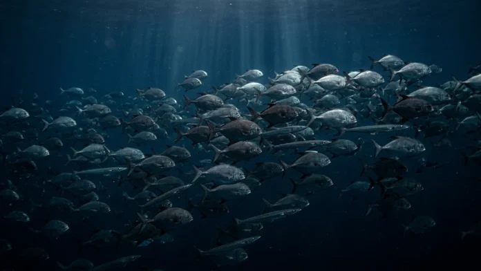 Pesca industrial esvazia peixes entre 200 e 1.000 metros há décadas, reduzindo uma teia escura que sustenta cardumes da superfície Pesca industrial esvazia peixes entre 200 e 1.000 metros há décadas, reduzindo uma teia escura que sustenta cardumes da superfície