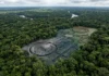 Laser aéreo encontra 396 estruturas de terra sob a mata e coloca três municípios do Amazonas no mapa da arqueologia Laser aéreo encontra 396 estruturas de terra sob a mata e coloca três municípios do Amazonas no mapa da arqueologia