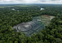 Laser aéreo encontra 396 estruturas de terra sob a mata e coloca três municípios do Amazonas no mapa da arqueologia Laser aéreo encontra 396 estruturas de terra sob a mata e coloca três municípios do Amazonas no mapa da arqueologia