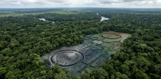 Laser aéreo encontra 396 estruturas de terra sob a mata e coloca três municípios do Amazonas no mapa da arqueologia Laser aéreo encontra 396 estruturas de terra sob a mata e coloca três municípios do Amazonas no mapa da arqueologia