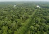 Laser varre 4.500 km² de floresta no Acre e revela 3 marcas do relevo escondidas sob a vegetação Laser varre 4.500 km² de floresta no Acre e revela 3 marcas do relevo escondidas sob a vegetação