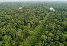 Laser varre 4.500 km² de floresta no Acre e revela 3 marcas do relevo escondidas sob a vegetação Laser varre 4.500 km² de floresta no Acre e revela 3 marcas do relevo escondidas sob a vegetação